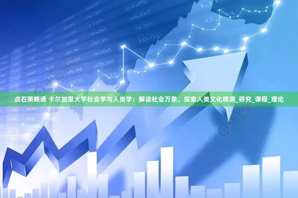 点石策略通 卡尔加里大学社会学与人类学：解读社会万象，探索人类文化根源_研究_课程_理论