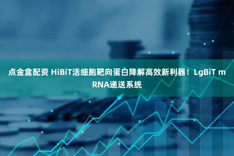 点金盒配资 HiBiT活细胞靶向蛋白降解高效新利器!LgBiT mRNA递送系统