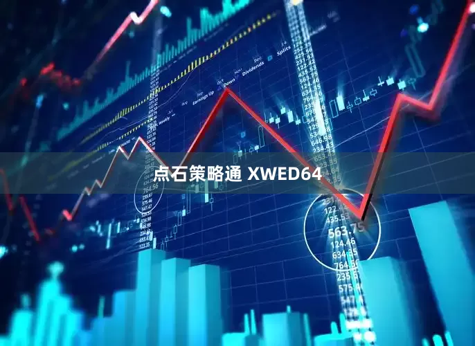 点石策略通 XWED64