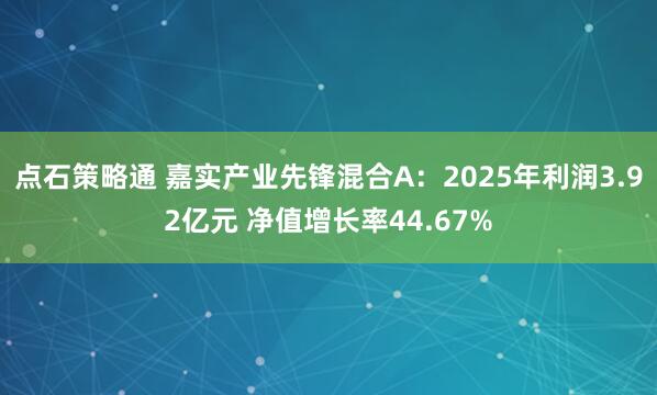 点石策略通 嘉实产业先锋混合A：2025年利润3.92亿元 净值增长率44.67%